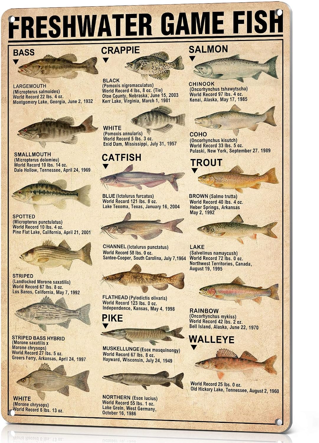 Home Decor Game - Papan Logam Vintage Gambar Ikan Air